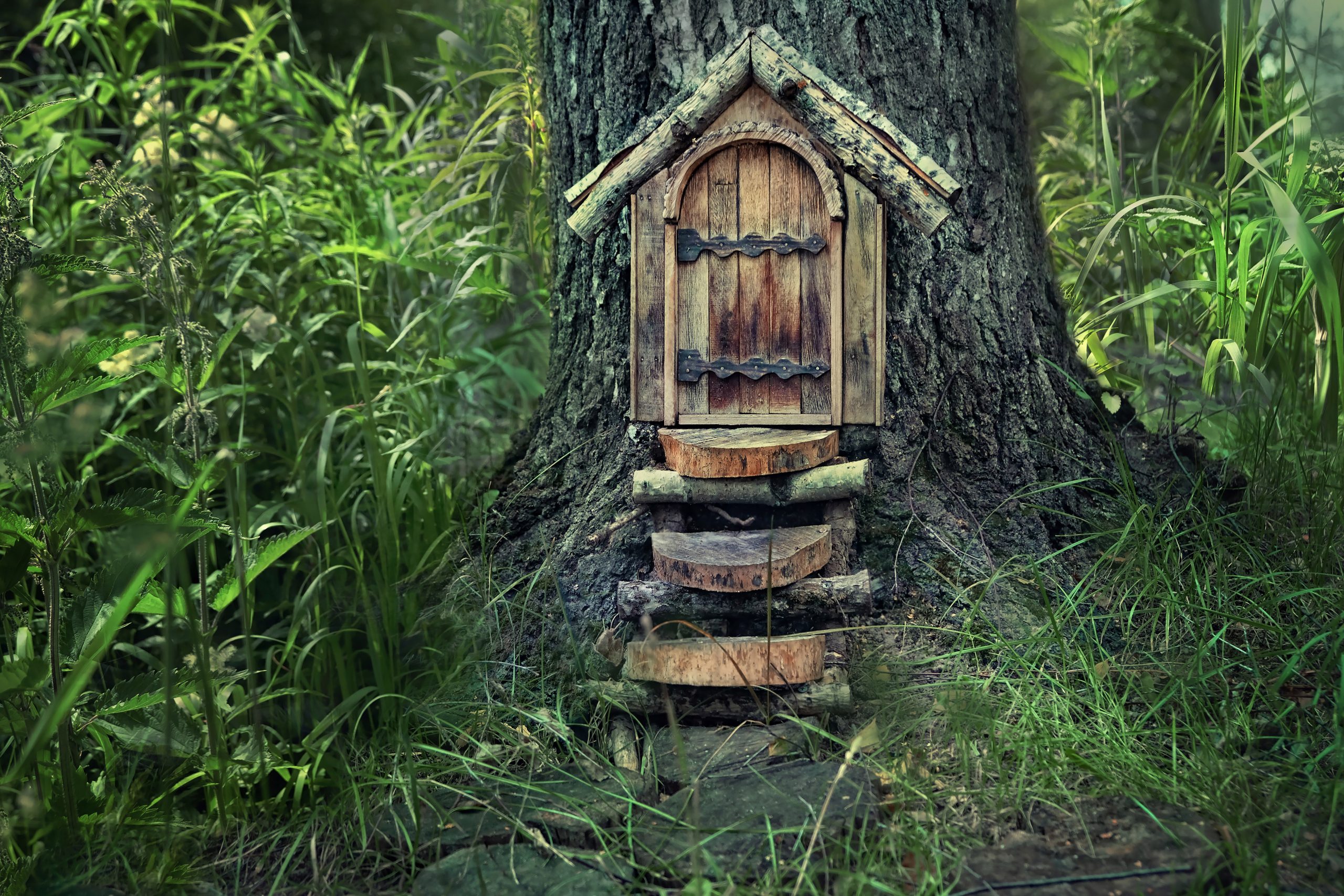 gnome home in the green woods